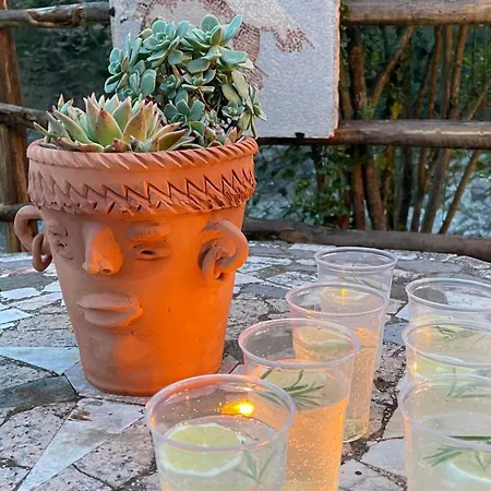 ファームステイ Agagin *